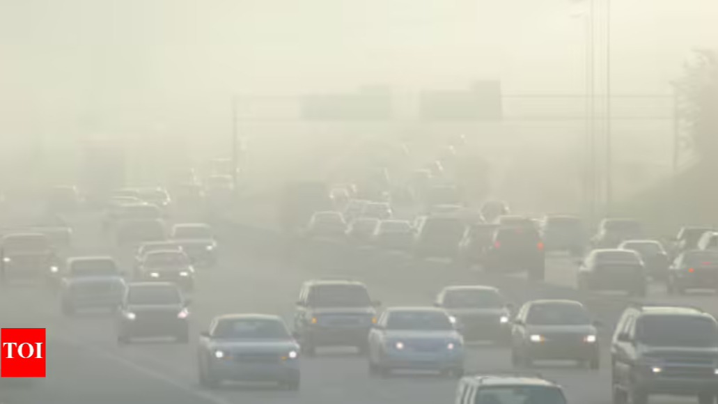 Your Antim Pollution Fertility Diet: How Antioxidants Protect Reproductive Health in Smog Season