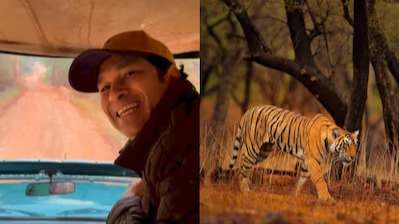 From Cricket Grounds to Forest Trails: Sachin Tendulkars Peaceful Getaway at Tadoba