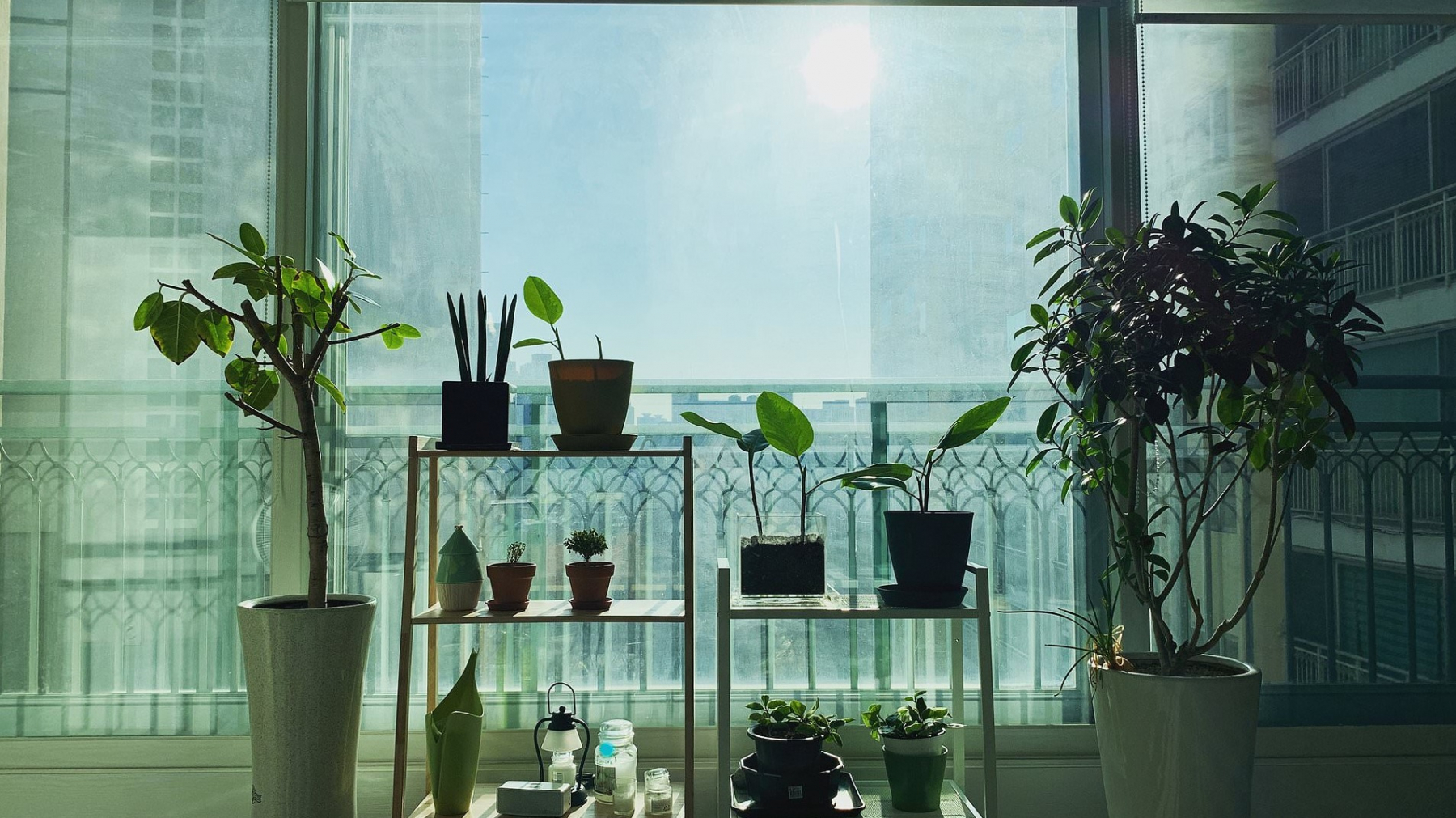 Why Indoor Air Can Be More Dangerous Than Outdoor Smog in Winter